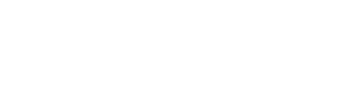 light logo